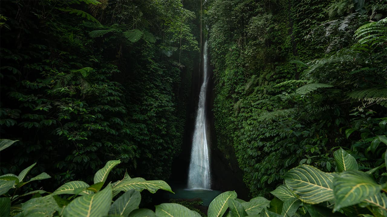 Bali Travel Guide