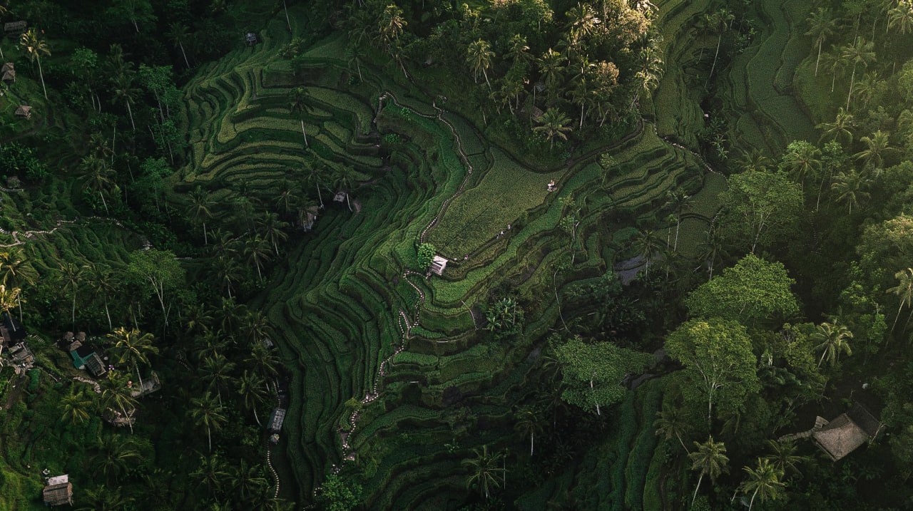 Тур на Балі, Bali Tour
