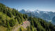 Schynige Platte