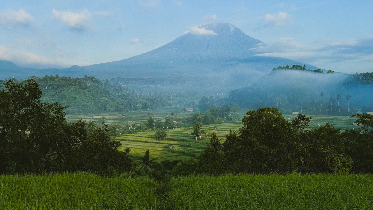 Bali Digital Nomad Guide