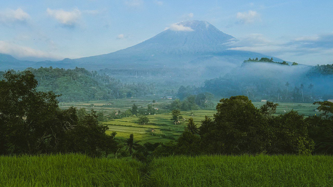 Bali Digital Nomad Guide