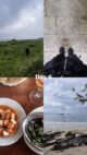 Каміно португальський прибережний маршрут