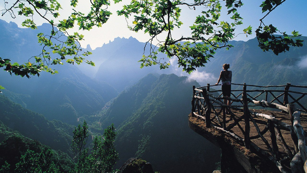 SEE MORE TRIPS
